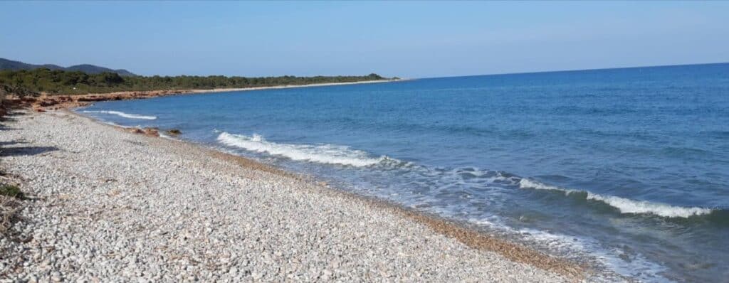 Playa Basseta