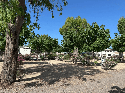 Camping Peñíscola