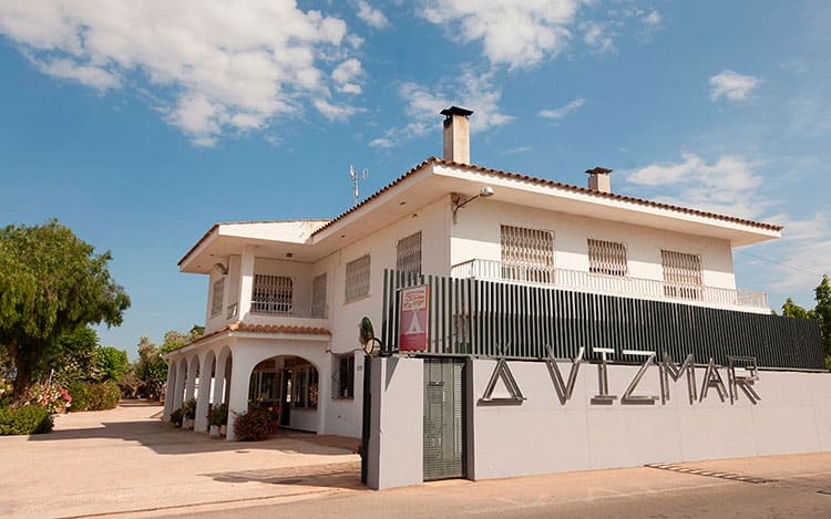 Vizmar