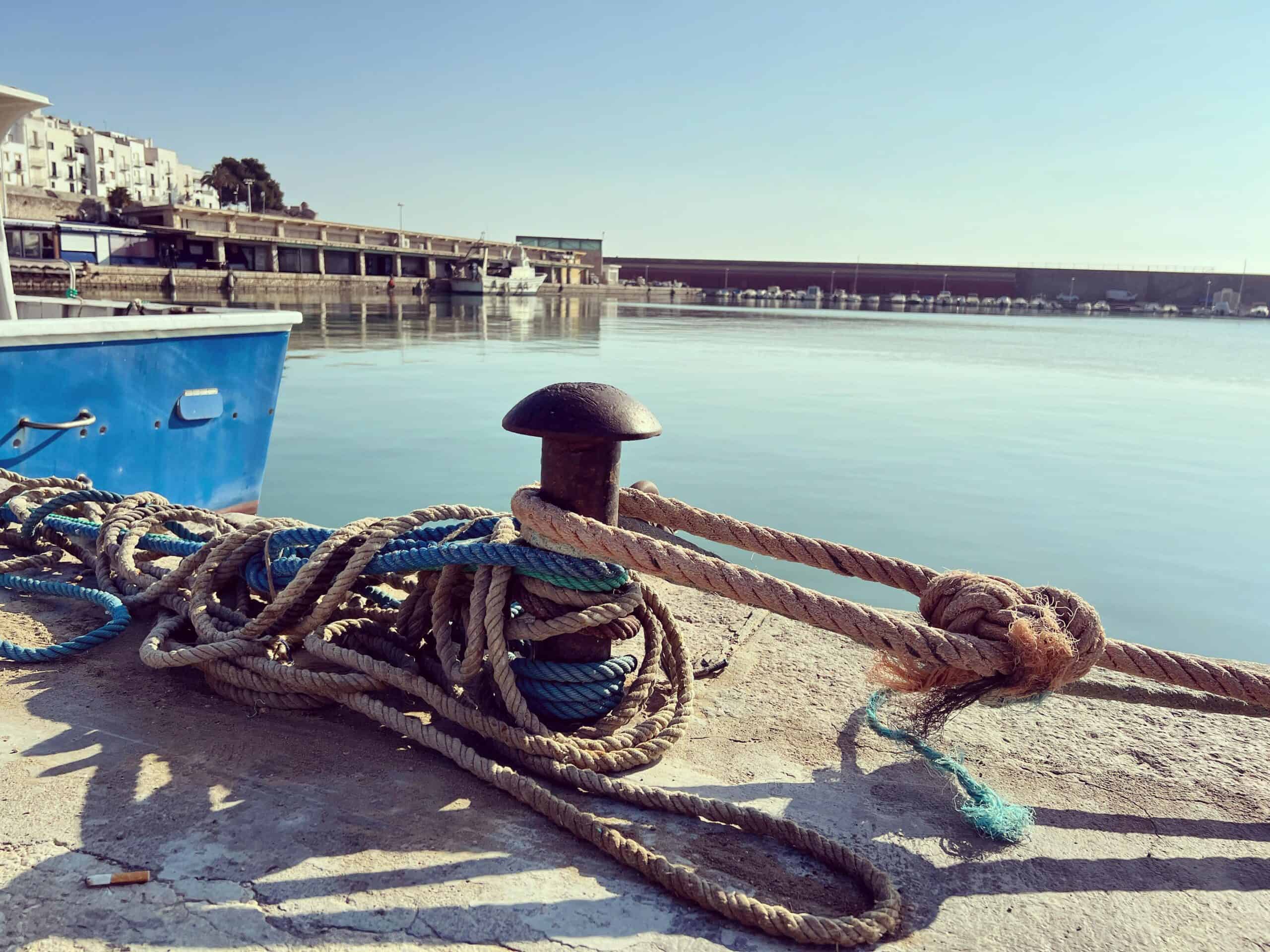 De la arena a la lonja cómo ha cambiado la subasta del pescado en Peñíscola